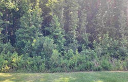 Lot 85 Clouds Creek Circle, Leesville, SC 29070