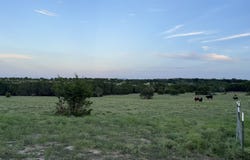 5450 CR 202, Burnet, TX 76550