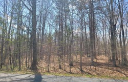 TEXAS SCHOOL RD, BUCKINGHAM, VA 23921