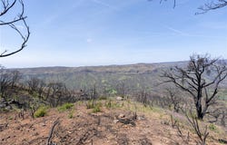 0 Toll Gate Way, Forest Ranch, CA 95942