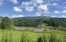 Tbd Roan Creek Road, Butler, TN 37640
