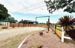 8740 E Fm 922, Valley View, TX 76272