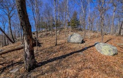 68 Magee Rd, Ringwood Boro, NJ 07456