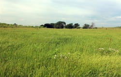 21481 SW County Road 4040, Dawson, TX 76639