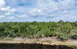 Live Oak, FL 32060