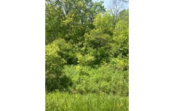 00WP Sharon Hill Rd, Sharon Springs, NY 13459
