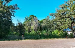 Flint Ridge St, Bastrop, TX 78602