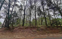 921 PINEHAVEN DRIVE, BESSEMER, AL 35023
