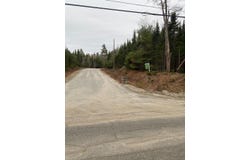 Lot 5 Ash Lane, Surry, ME 04684