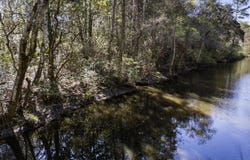 Lot 212 Longwood Drive, Gautier, MS 39553