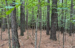 2651 E Paradise Harbor Drive, Connelly Springs, NC 28612