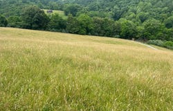00 Manville Road, Gate City, VA 24251