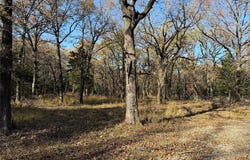 0000 County Road 2418, Honey Grove, TX 75446