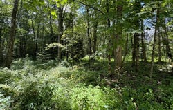 Creamton Drive, Lakewood, PA 18439