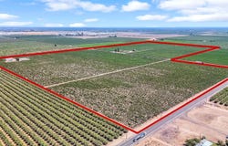 0 Avenue 13, Madera, CA 93637