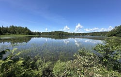 52 E E Conroy Lake Road, Monticello, ME 04760