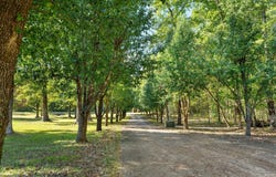 8515 Ga-157, Rising Fawn, GA 30738