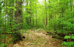 4 Lake Road, Phillips, WI 54555