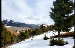 Copper Cross #3969, Moffet Gulch Rd, Divide, MT 59743