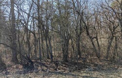 TBD W 550 South, Portland, IN 47371