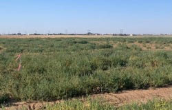 Bt14 Voorhees Road, Amarillo, TX 79124