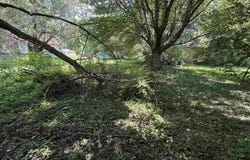 1400 S Carol Avenue, Princeton, IN 47670