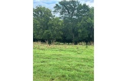 Tbd Abel Lane, Boyd, TX 76023