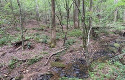 Lot 36 Hampton Farms Trail, Jasper, GA 30143