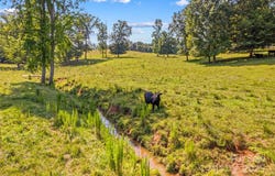 179 J and W Road, Olin, NC 28660
