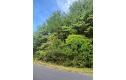 0 Clappers Ridge Rd, James Creek, PA 16657