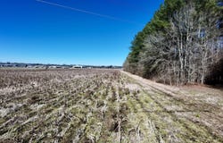 E Main Street, Carthage, MS 39051