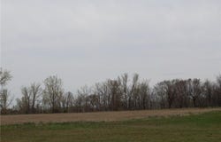 Xxx S Broadway, Alexandria, MN 56308