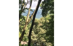 0 Piney Knob Drive, Spring City, TN 37381