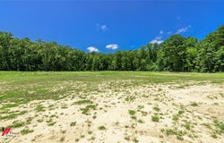 790 Chalybeate Springs Road, Plain Dealing, LA 71064