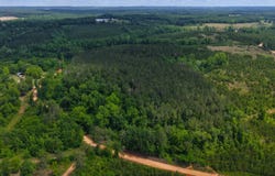 0 Pusley Ridge Road, Highland Home, AL 36041