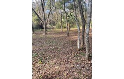 NE 164 LANE, CITRA, FL 32113