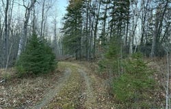 24965 Hammock Trail, Park Rapids, MN 56470