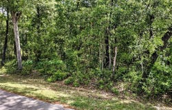 Tbd NE 155TH COURT, WILLISTON, FL 32696