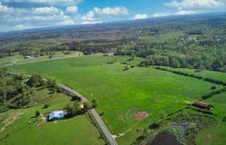 HWY 195, Haleyville, AL 35565