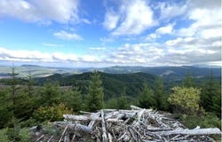 NorthForkGalesCreek, Timber, OR 97144