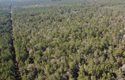 TBD  Joe Lorenz Rd, Singer, LA 70660