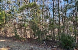lot 40 Rivers Edge Drive, Forsyth, GA 31029