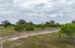 Tbd ZACK LOT 6 LN, Smithville, TX 78597