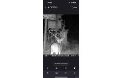 Off Hwy F, Annapolis, MO 63620