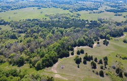 Fm 903, Celeste, TX 75423