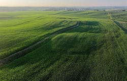L Avenue, IA 51465
