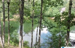 19 DOGWOOD RIDGE, WEDOWEE, AL 36278