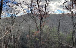 CARDINAL VIEW ROAD, PAW PAW, WV 25434