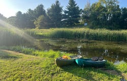 6555 County Road 109, Mount Gilead, OH 43338