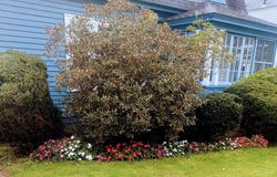 31 Barnard Rd, Worcester, MA 01605